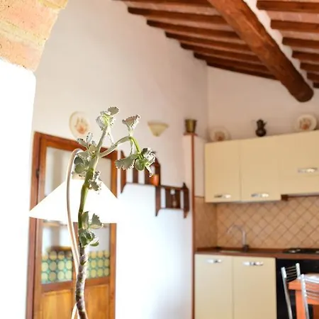 With Little Arch Montepulciano